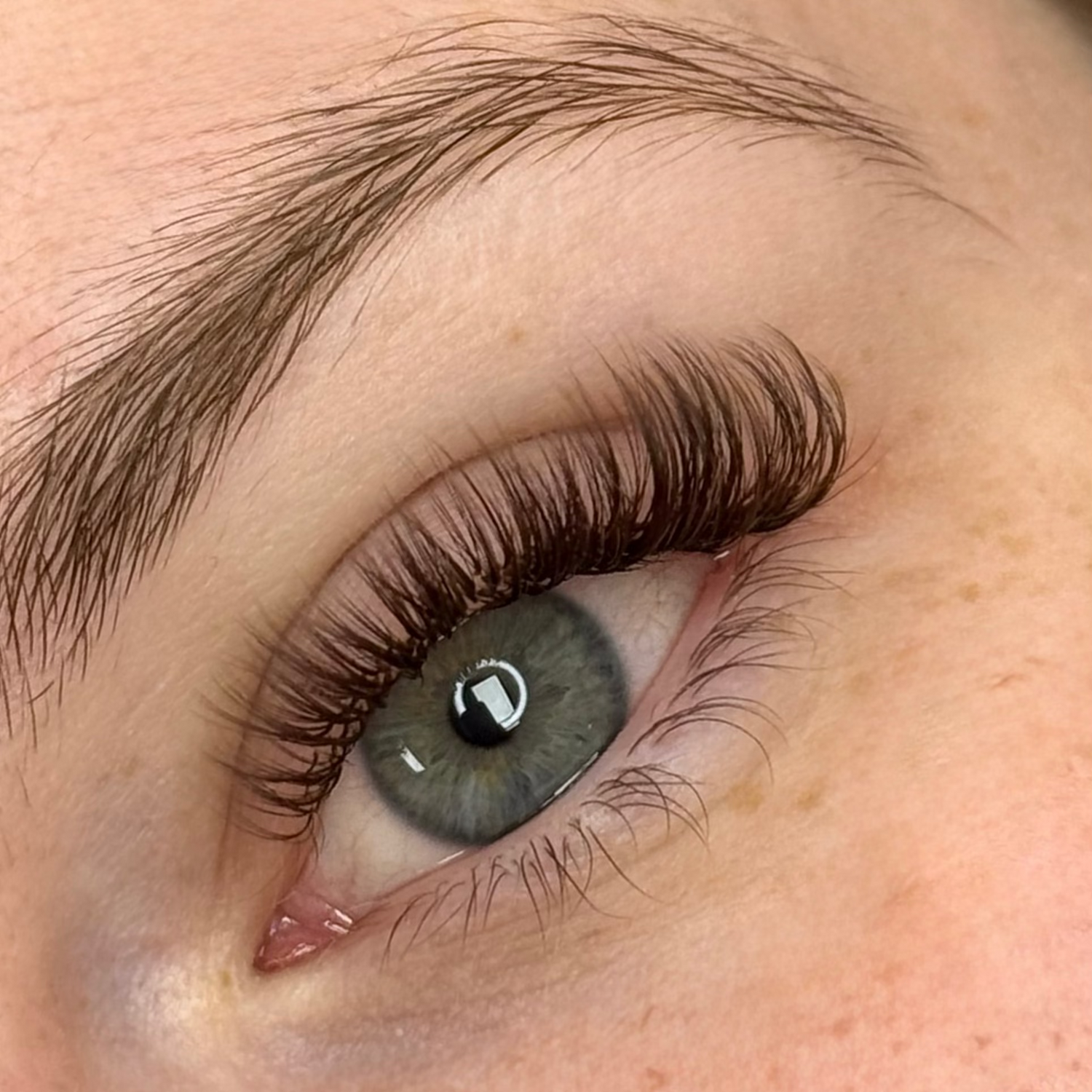 Close-up of a dark brown lash extensions