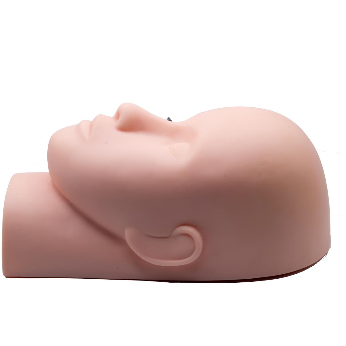 Training Mannequin Head